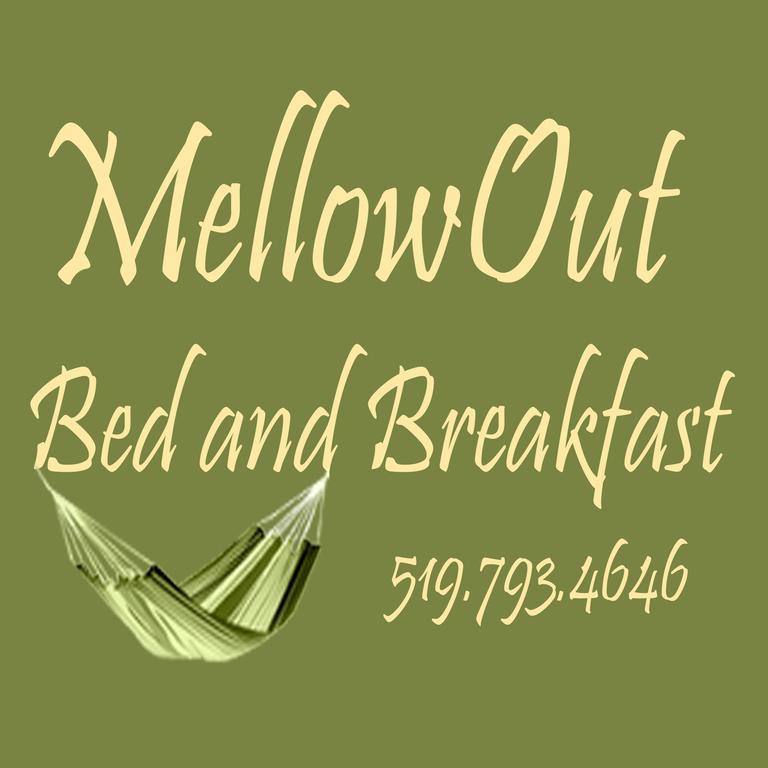 Mellowout B&B Lions Head Ngoại thất bức ảnh